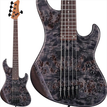 Ibanez 【入荷待ち、ご予約受付中】 MDM1605-DTW