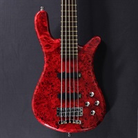 Pro Series Streamer LX 5st Birdseye Poplar Top (Dark Bleached Red TP HP) [Ikebe 50th Anniversary Special Edition] #013958