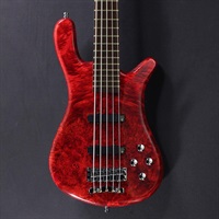 Pro Series Streamer LX 5st Birdseye Poplar Top (Dark Bleached Red TP HP) [Ikebe 50th Anniversary Special Edition] #013953