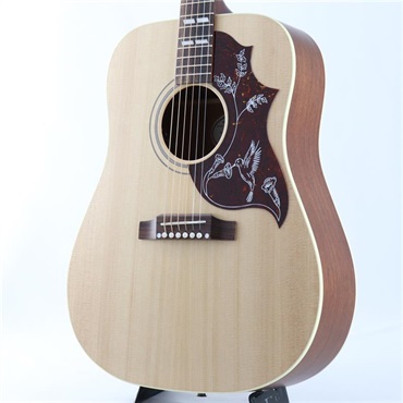 Gibson 【GIBSON×AQUBEストラッププレゼント】Hummingbird Special (Natural) ギブソン