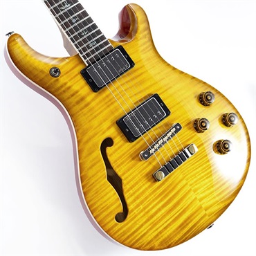 P.R.S. Wood Library McCarty 594 Semi-Hollow (McCarty Sunburst) SN.040761 2025年生産品