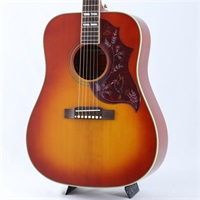 Hummingbird Standard （Cherry Sunburst） エピフォン