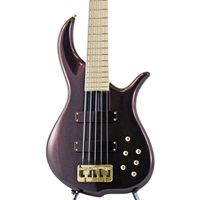BN5 Alder body (Gold & Purple Kingpin Color Shift Gloss with Gold Hardware)