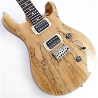 Ikebe Exclusive SE Custom 24 Spalted Veneer (Natural)　SN.CTIH054312 【2025年生産品】