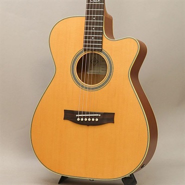 MATON Master Built TE.Personal Cutaway メイトン