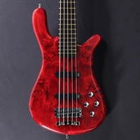 Pro Series Streamer LX 5st Birdseye Poplar Top (Dark Bleached Red TP HP) [Ikebe 50th Anniversary Special Edition] #013968