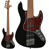 WJB5-1MS-DX-AC RSM/M (BLK)