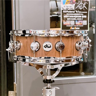 dw DR920514SSC101 [Collector's Pure Walnut 14×5 / Natural Satin Oil]【限定生産モデル】