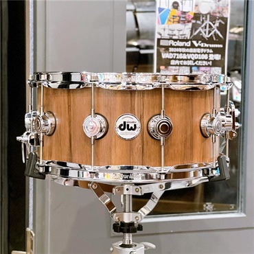 dw DR926514SSC101 [Collector's Pure Walnut 14×6.5 / Natural Satin Oil]【限定生産モデル】