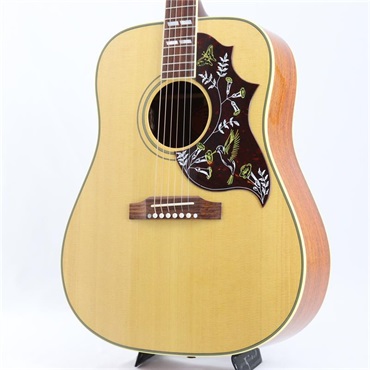 Gibson 【モンタナ工場現地選定材】Hummingbird Original Cocobolo ギブソン