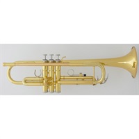 USED 中古 ヤマハ / YTR-3335 #D27**9 【Bb トランペット】