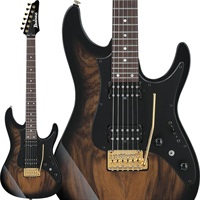 Premium AZ41P1EW-NGT (Natural Gray Burst) [SPOT MODEL]