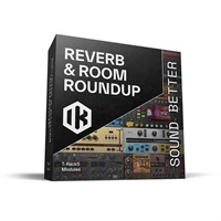【6月限定リバーブ・バンドル セール】Reverb & Room Roundup (アイケーマルチメディア)(リバーブ)(T-RackSモジュール)(バンドル)(プラグインエフェクト)(オンライン納品)
