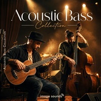 Acoustic Bass Collection (アコースティックベース)(ループ集)(バンドルパック)(オンライン納品)(2時間以内に納品)