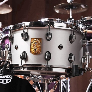 MAPEX ACMP4800LPG [Artist Collection Aquiles Priester PsychOctopus Snare14×8]
