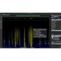 SpectraLayers Pro 13 (スペクトラレイヤーズ)(スタインバーグ)(オーディオ編集)(オーディオ摘出)(オンライン納品)(2時間以内に納品)