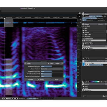 Steinberg SpectraLayers Pro 13 EDU (アカデミック版)(スペクトラレイヤーズ)(スタインバーグ)(オーディオ編集)(オーディオ摘出)(オンライン納品)(2時間以内に納品)