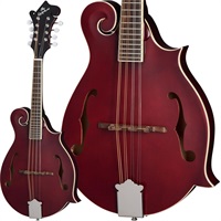 F-5 Studio (Wine Red） エピフォン【Gibson SUMMER FAIR】