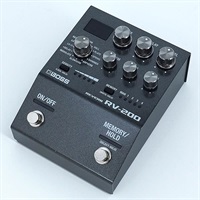 USED 中古 RV-200 ボス