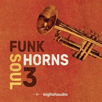 Funk Soul Horns 3 (ホーンセクション)(ファンク)(ソウル)(サンプルパック)(オンライン納品)(2時間以内に納品)
