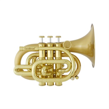 CAROL BRASS キャロルブラス / N3000(D) SATIN-BELL GB 【Bb ポケット トランペット 】【出荷前調整で安心】