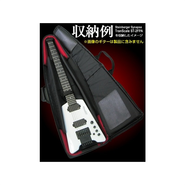 NAZCA IKEBE ORDER Protect Case for Guitar [スタインバーガー