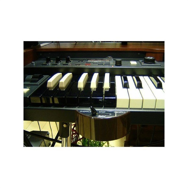 HAMMOND CU-1【ハーフムーンスイッチ】 画像1