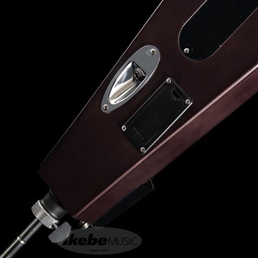 Hallstatt WBSE-1000 (TBK) [アップライトベース] 画像5