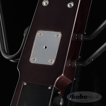 Hallstatt WBSE-1000 (TBK) [アップライトベース] 画像7