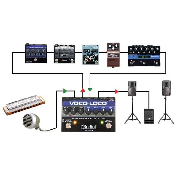 Radial VOCO-LOCO【お取り寄せ商品】 画像6