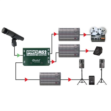 Radial PRO MS2【お取り寄せ商品】 画像5