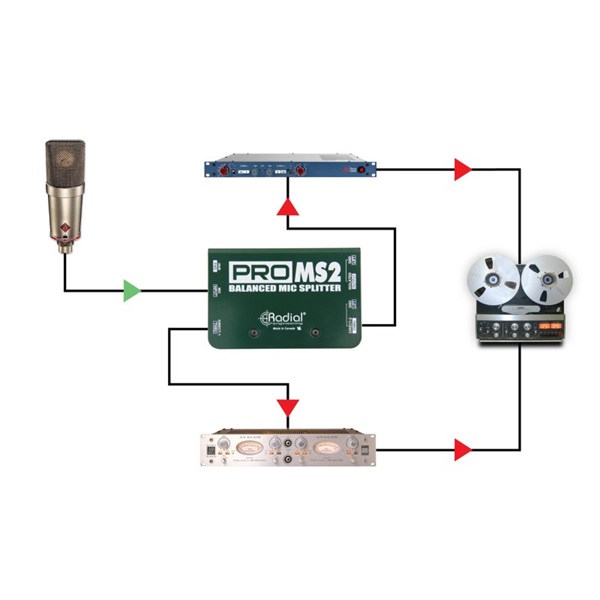 Radial PRO MS2【お取り寄せ商品】 画像6