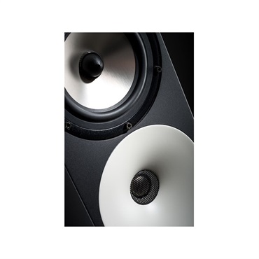 Amphion Two15 【ペア】【受注製品・納期1ヶ月程】※パッシブ・スピーカー【受注製品・納期1ヶ月程】 ｜イケベ楽器店オンラインストア