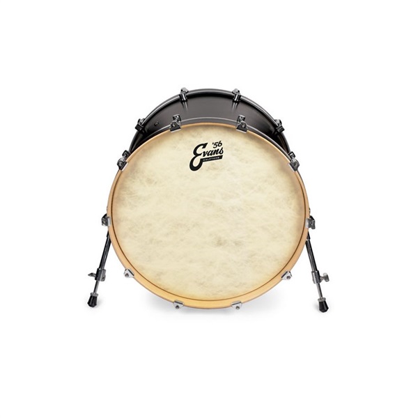 EVANS BD24CT ['56 - Calftone Bass 24 / Bass Drum]【1ply ， 12mil】【お取り寄せ品】 画像2