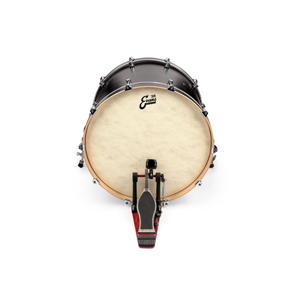 EVANS BD18GB4CT ['56 - EQ4 Calftone Bass 18 / Bass Drum]【1ply