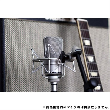 NEUMANN EA1 ニッケル 画像2