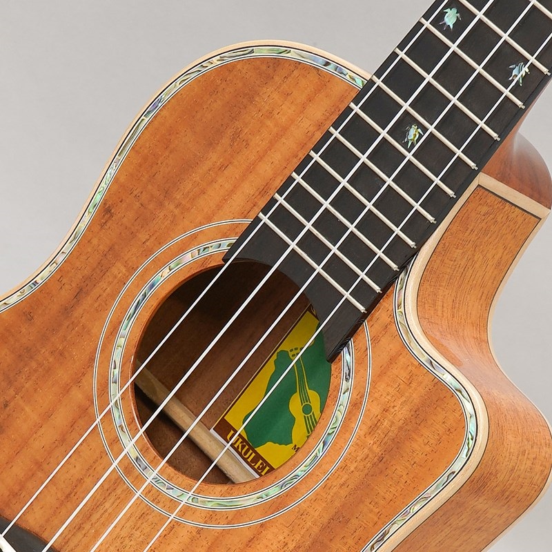 BIG ISLAND KX-TRCG KX Koa Tenor Cutaway ビッグアイランド 画像6
