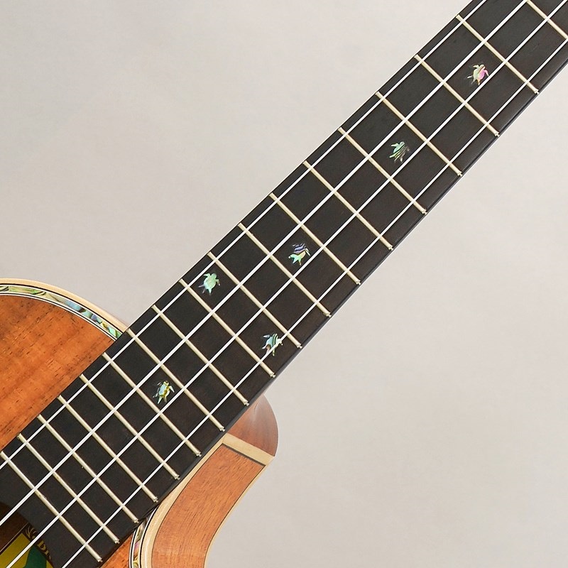 BIG ISLAND KX-TRCG KX Koa Tenor Cutaway ビッグアイランド 画像8