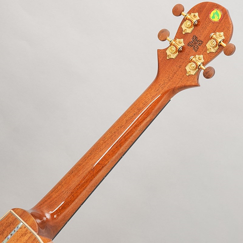 BIG ISLAND KX-TRCG KX Koa Tenor Cutaway ビッグアイランド 画像9