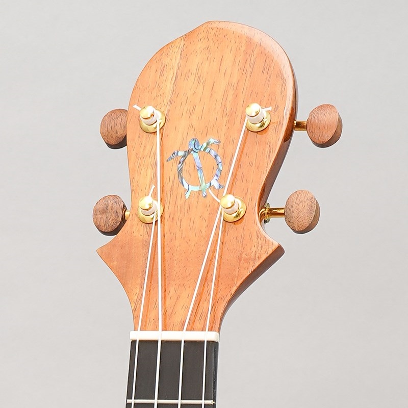 BIG ISLAND KX-TRCG KX Koa Tenor Cutaway ビッグアイランド 画像10