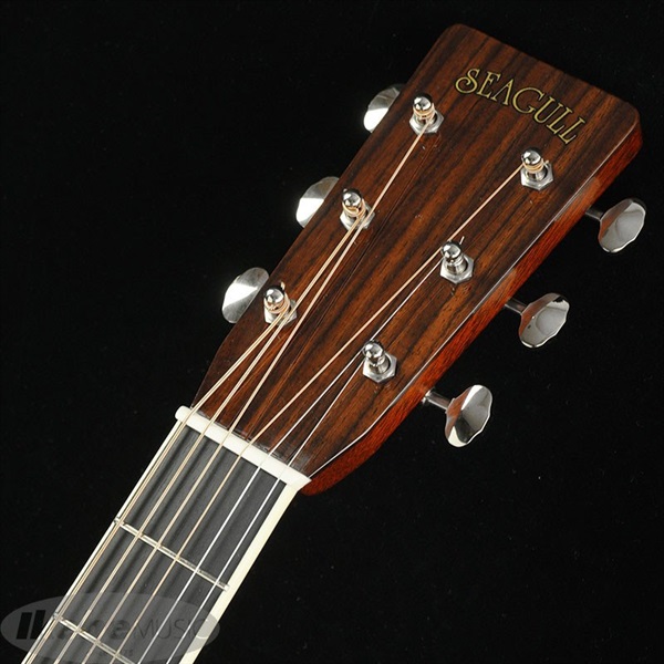 Seagull(by M.Shiozaki) 【クリスマススペシャルSALE】000-82 Cutaway Aging Adirondack Spruce Top シーガル 画像4