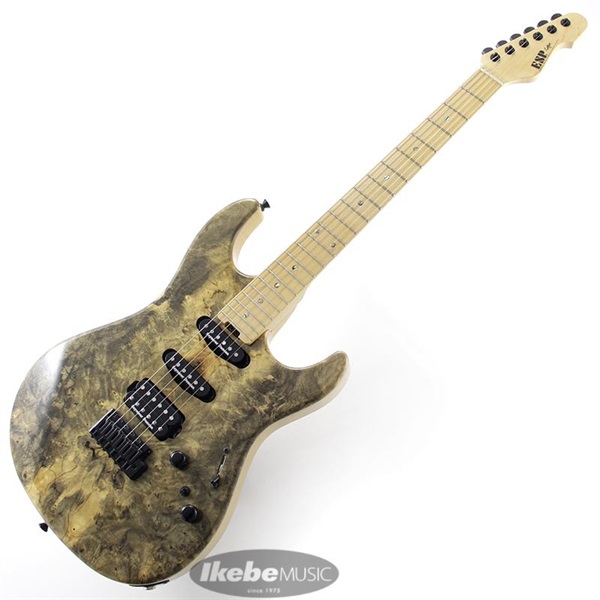 ESP SNAPPER-CTM Buckeye Burl [Hard Maple Fingerboard] 【即納可能