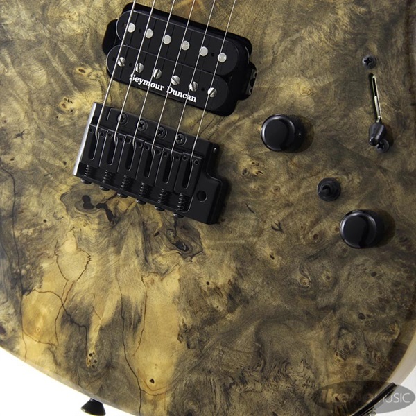 ESP SNAPPER-CTM Buckeye Burl [Hard Maple Fingerboard] 【即納可能