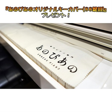 CASIO GP-310WE CELVIANO Grand Hybrid【C.ベヒシュタインコラボモデル】【3年保証】【全国配送設置無料※】 画像2