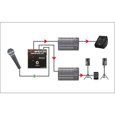 Radial HotShot DM1【お取り寄せ商品】 画像1