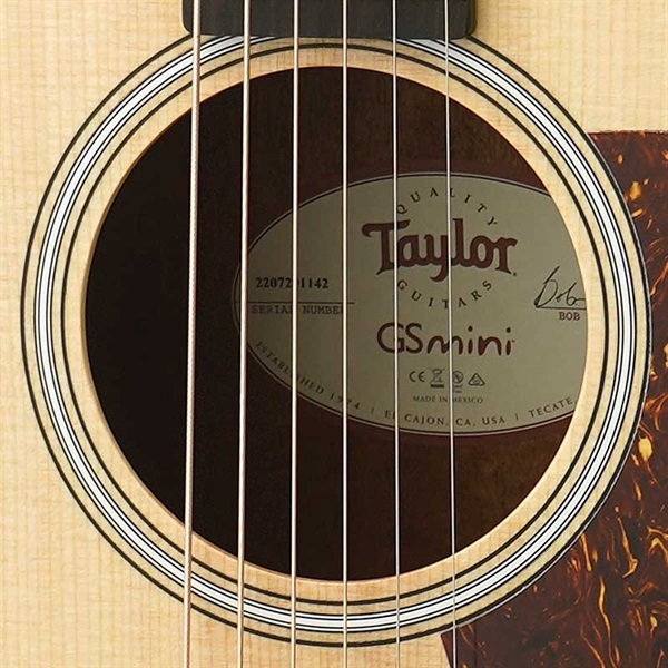 TAYLOR GS Mini Rosewood ｜イケベ楽器店