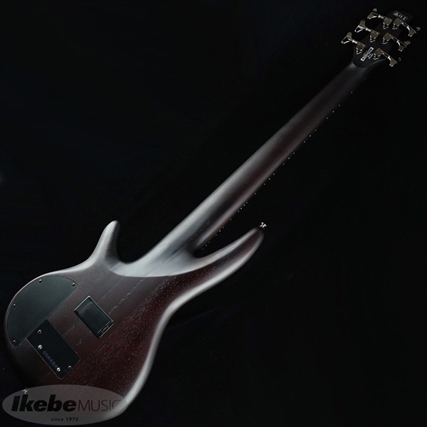 Ibanez Bass Workshop SRF706-BBF 【国内イケベ独占販売限定モデル】 画像2