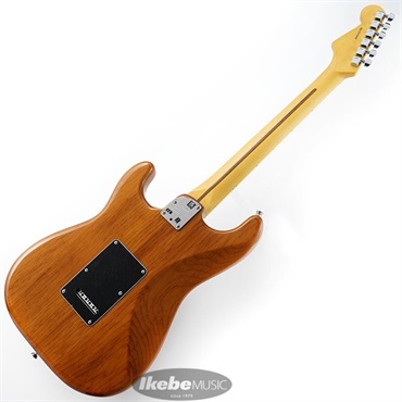 Fender USA American Professional II Stratocaster HSS (Roasted Pine /Maple)【旧価格品】 画像2