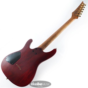 Ibanez SEW761FM-NTF 画像2