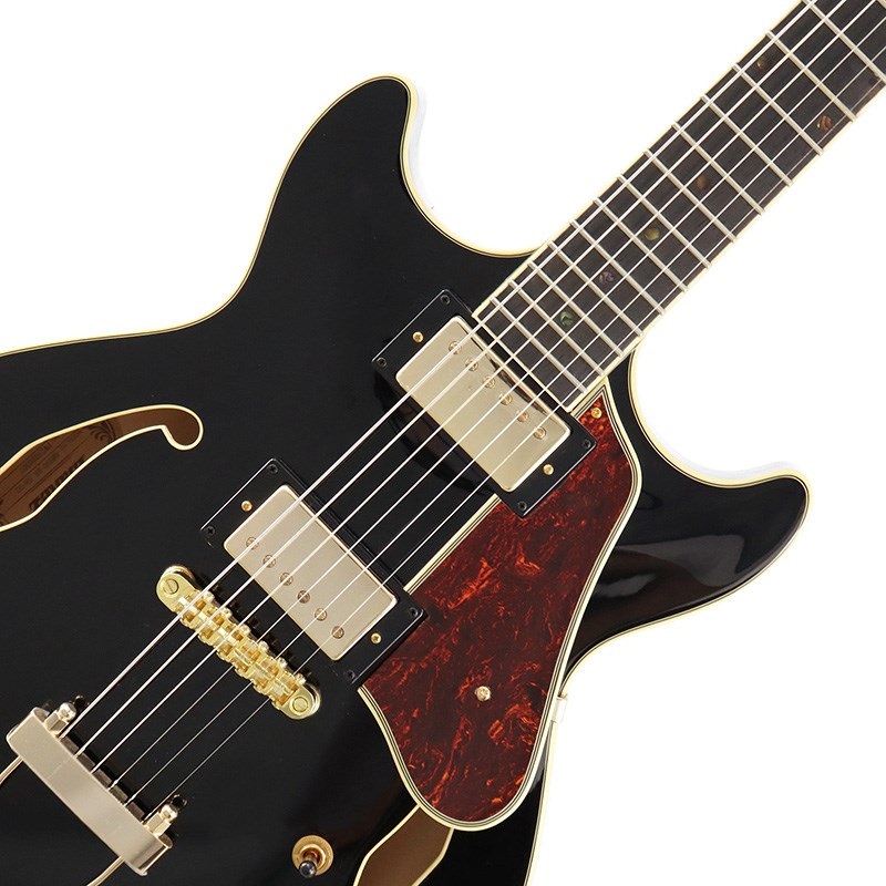 Ibanez Artcore Expressionist AMH90-BK ｜イケベ楽器店